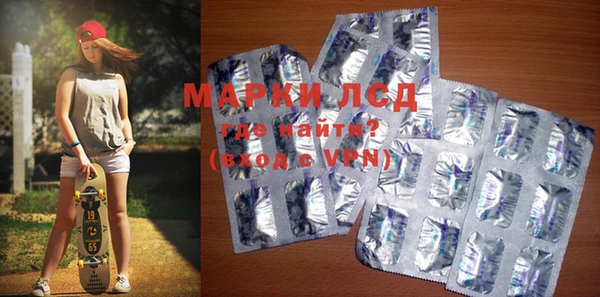 индика Снежинск